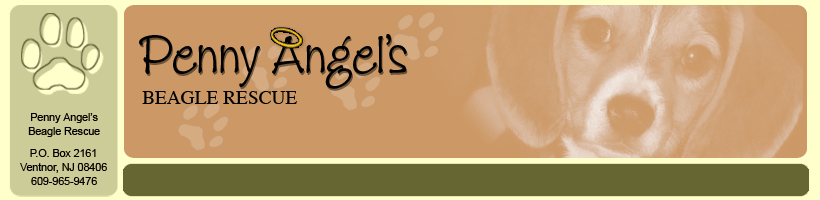 Pennies Angel's