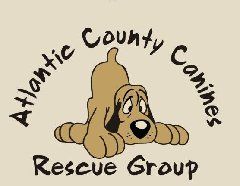 Atlantic County Canines